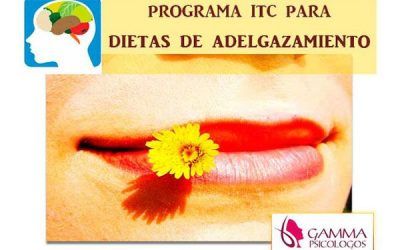 Programa ITC para Dietas de Adelgazamiento