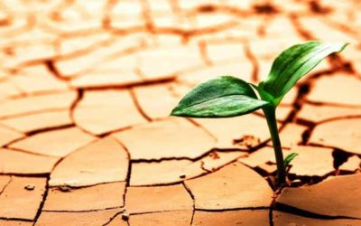 ¿QUÉ ES LA RESILIENCIA?